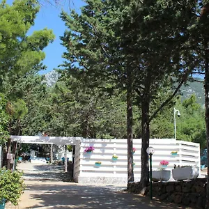 Car Palmasera Campsite